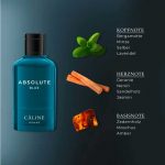 Absolute blue Eau de Toilette, 60 ml