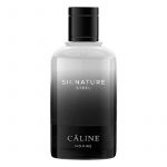 Signature Steel Eau de Toilette, 60 ml