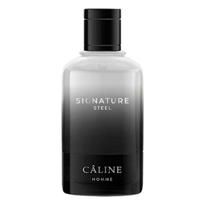 Signature Steel Eau de Toilette, 60 ml